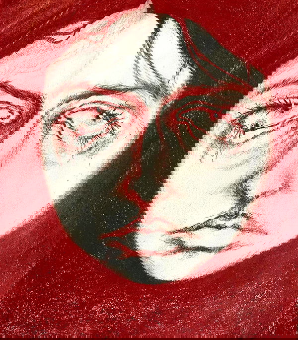 napopo_pub napopo_pub archive image