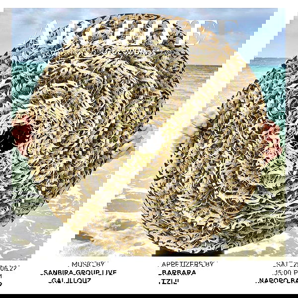 napopo_pub napopo_pub archive image