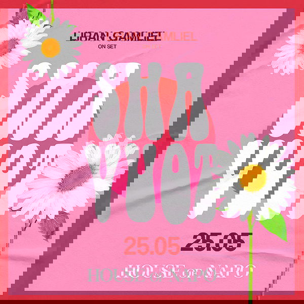 napopo_pub napopo_pub archive image