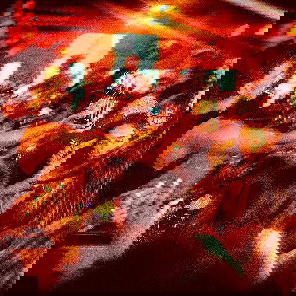 napopo_pub napopo_pub archive image