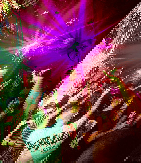 napopo_pub napopo_pub archive image