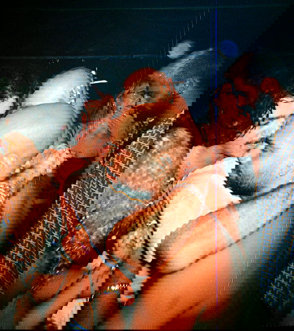 napopo_pub napopo_pub archive image