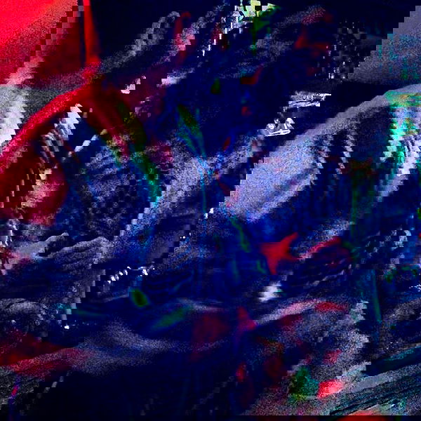 napopo_pub napopo_pub archive image