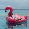 nasteppa Altpins Profile Picture
