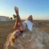nasteppa Altpins Profile Picture