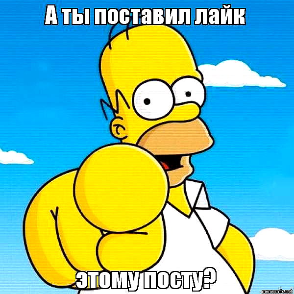 nasteppa instagram image archive image