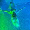 nasteppa Altpins Profile Picture