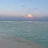 nasteppa Altpins Profile Picture