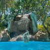 nasteppa Altpins Profile Picture