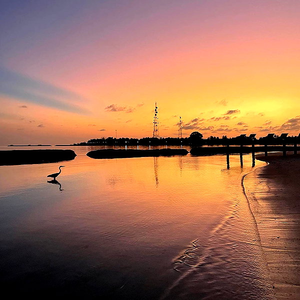 nasteppa instagram image archive image