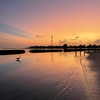 nasteppa Altpins Profile Picture