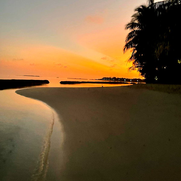 nasteppa instagram image archive image
