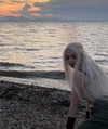 nasteppa Altpins Profile Picture