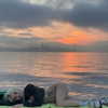 nasteppa Altpins Profile Picture