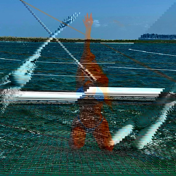 nasteppa nasteppa archive image