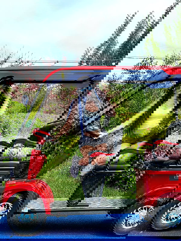 nasteppa nasteppa archive image