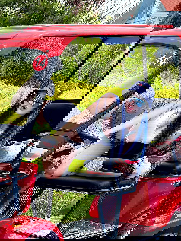 nasteppa nasteppa archive image