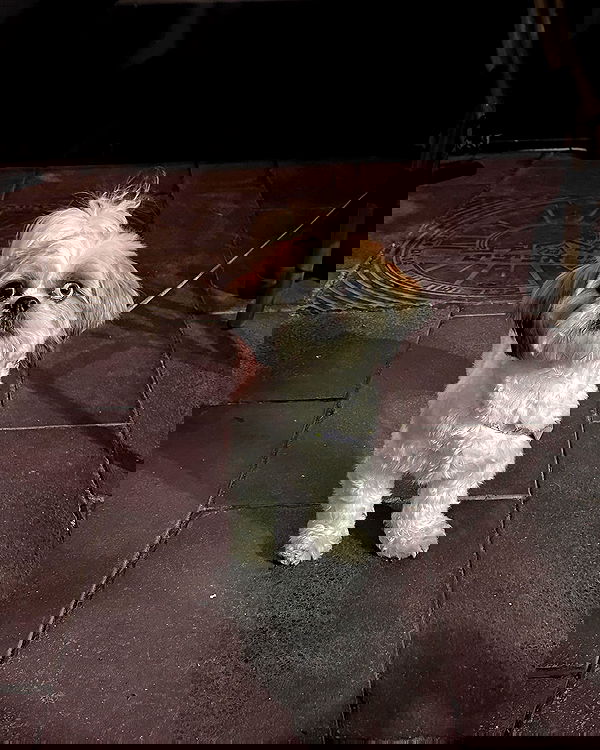 natalllluli natalllluli archive image