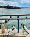 nathalie_doyle Altpins Profile Picture