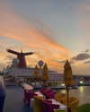naylorliana_ Altpins Profile Picture