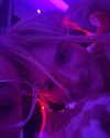 naylorliana_ Altpins Profile Picture