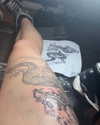 naylorliana_ Altpins Profile Picture