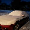 nefariouslarratt Altpins Profile Picture