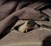 nefariouslarratt Altpins Profile Picture