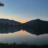 nefariouslarratt Altpins Profile Picture