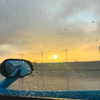 nefariouslarratt Altpins Profile Picture