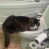 nefariouslarratt Altpins Profile Picture