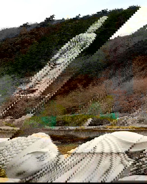 neomiconrad neomiconrad archive image