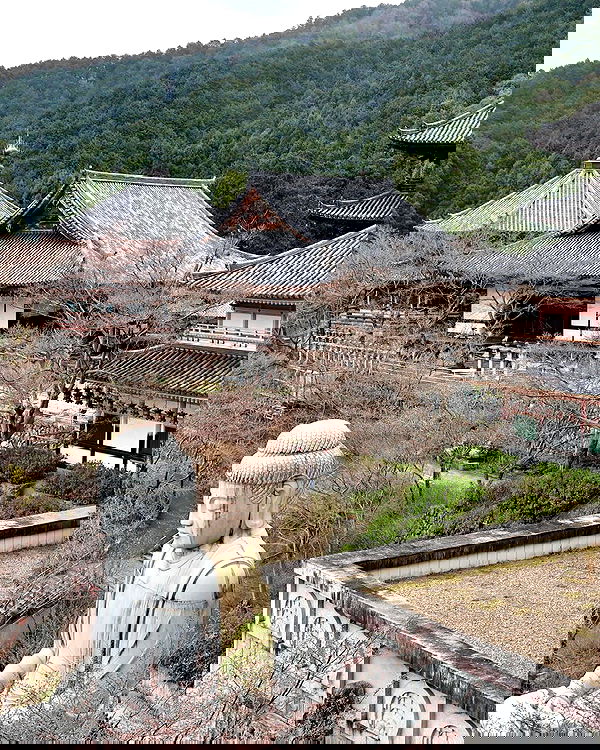 neomiconrad neomiconrad archive image