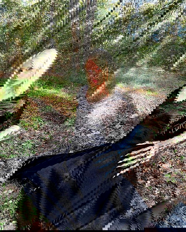 neondemoni image ~ Altpins