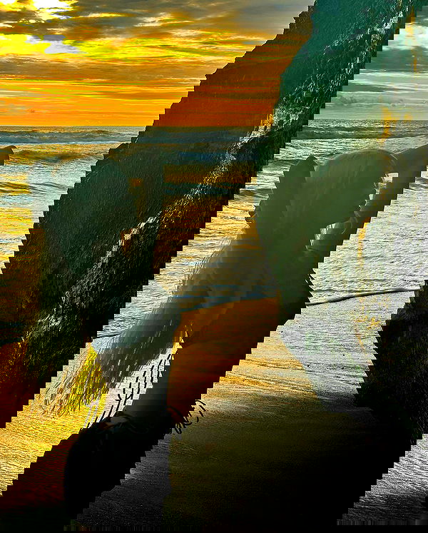 neondemoni image ~ Altpins