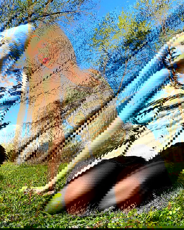 neondemoni image ~ Altpins