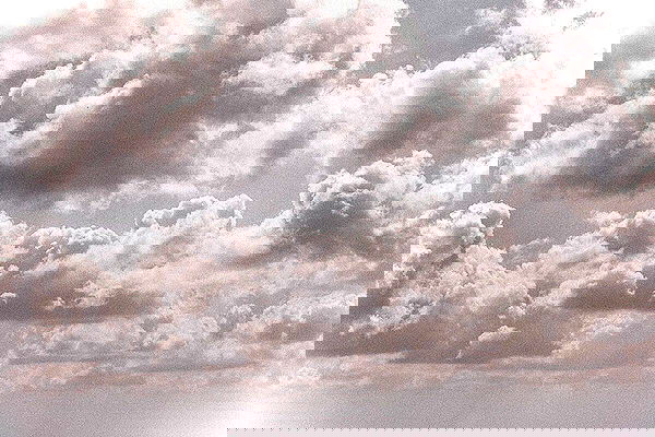 nessabarrett image ~ Altpins