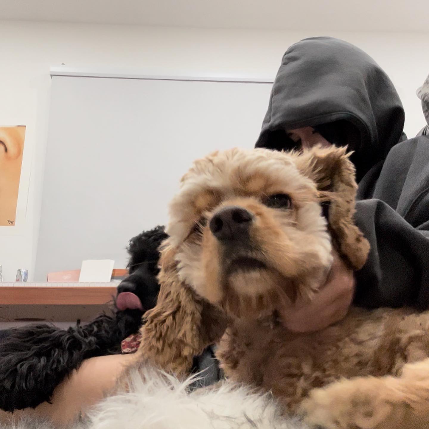 nessabarrett instagram image archive image