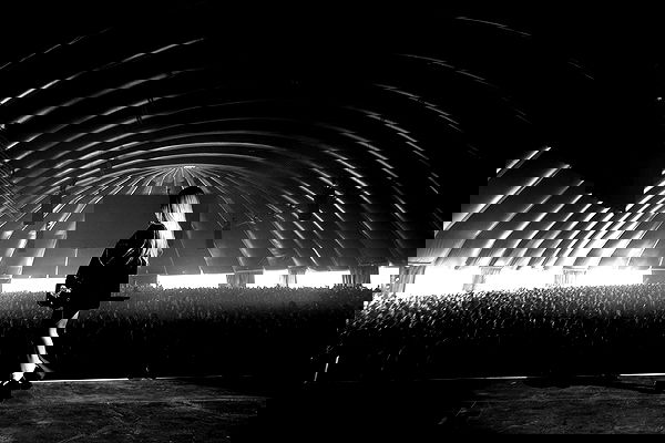 nessabarrett image ~ Altpins