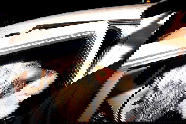 nessabarrett image ~ Altpins