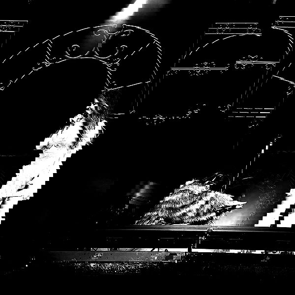 nessabarrett image ~ Altpins