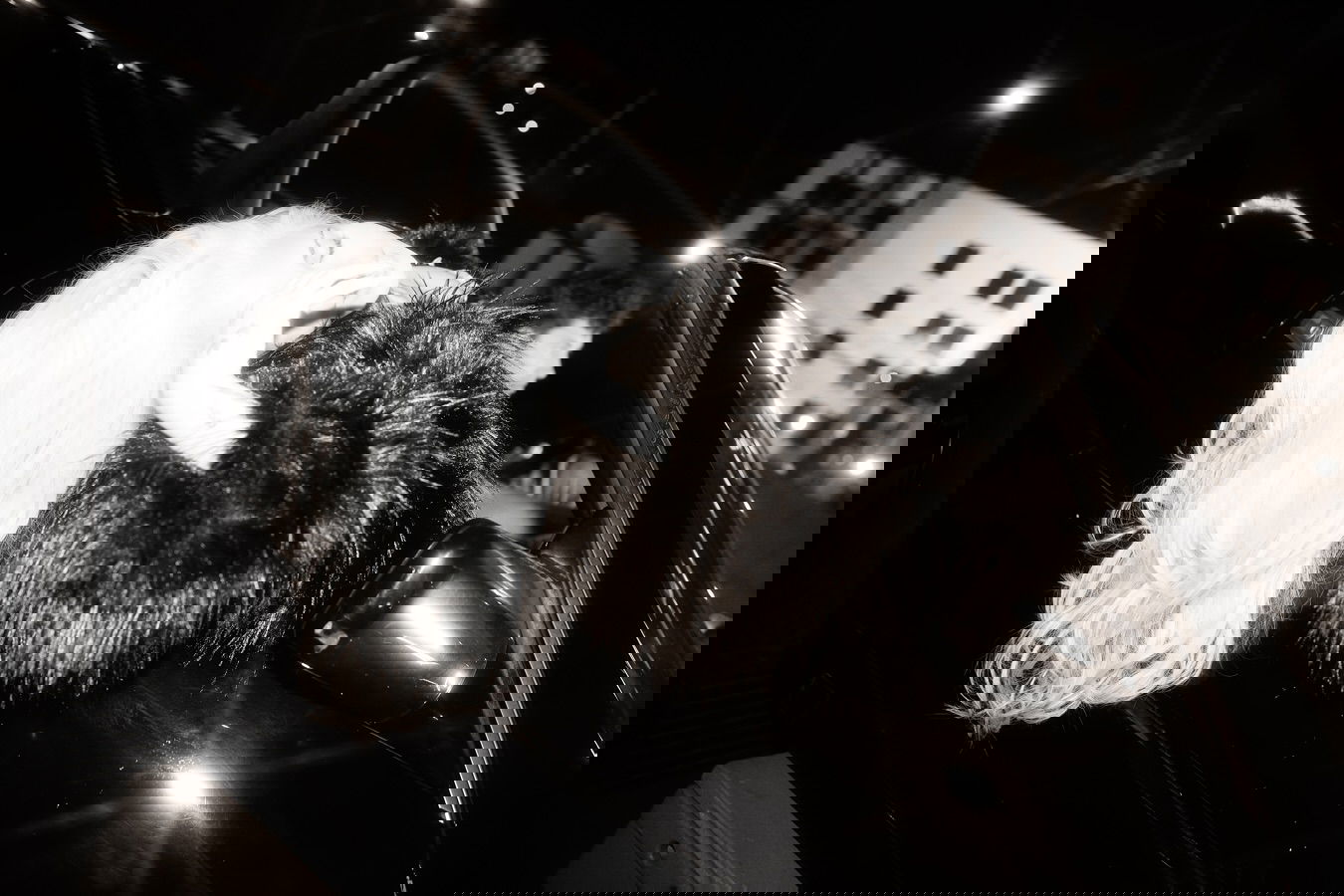 nessabarrett instagram image archive image