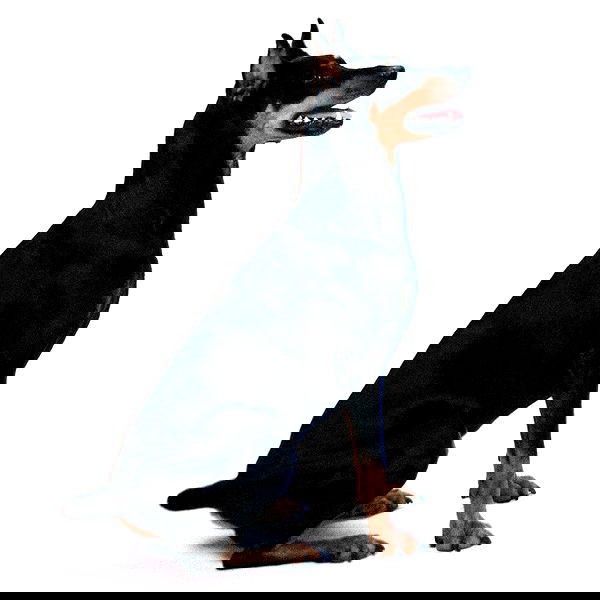 nessabarrett image ~ Altpins