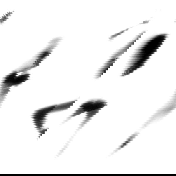 nessabarrett image ~ Altpins