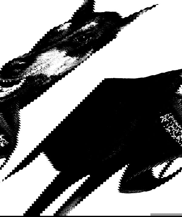 nessabarrett image ~ Altpins