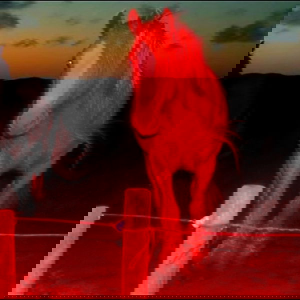 nessabarrett image ~ Altpins