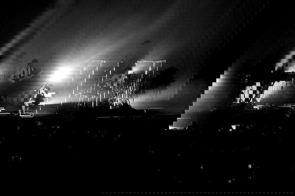 nessabarrett image ~ Altpins