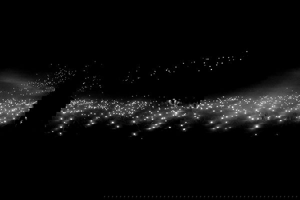 nessabarrett image ~ Altpins