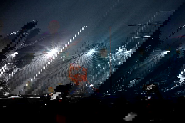 nessabarrett image ~ Altpins