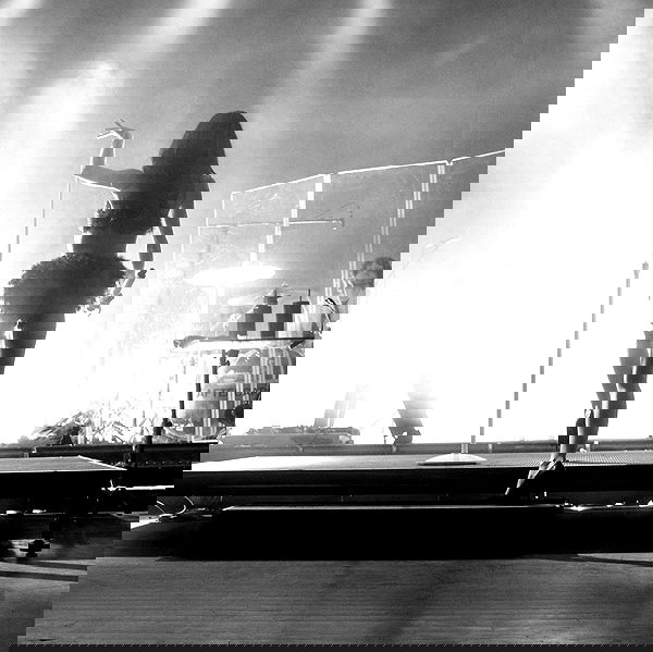 nessabarrett image ~ Altpins